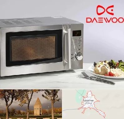 قطعات ماکروفر دوو در تویسرکان