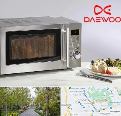 قطعات ماکروفر دوو در قدوسی غربی شیراز 