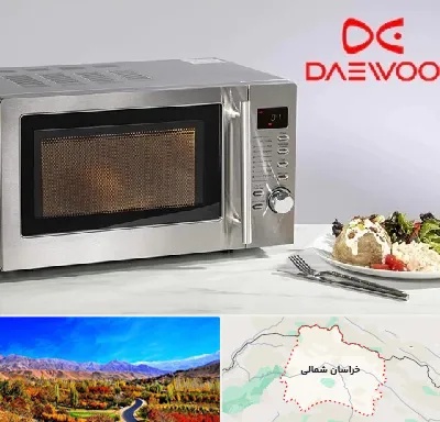 قطعات ماکروفر دوو در خراسان شمالی