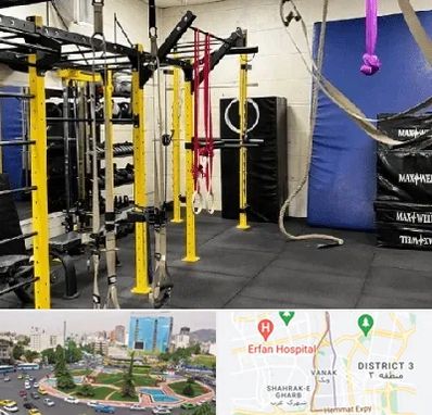 باشگاه کلیستنیکس در ونک 