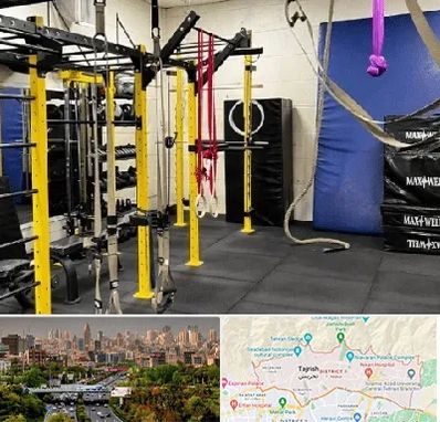 باشگاه کلیستنیکس در منطقه 1 تهران 