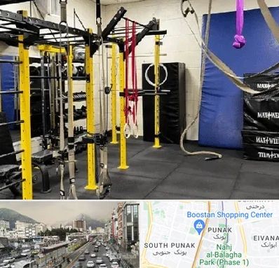 باشگاه کلیستنیکس در پونک 