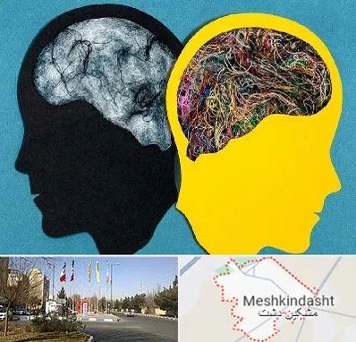 دکتر اختلال دوقطبی در مشکین دشت