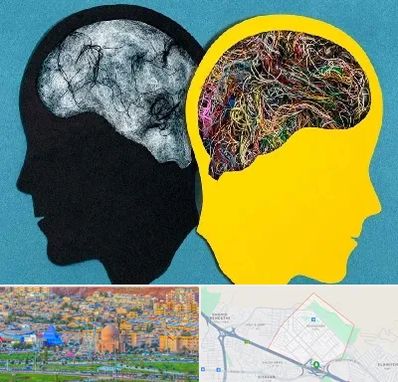 دکتر اختلال دوقطبی در رشدیه تبریز 