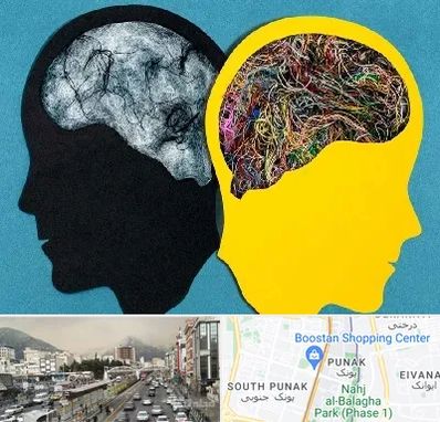 دکتر اختلال دوقطبی در پونک 