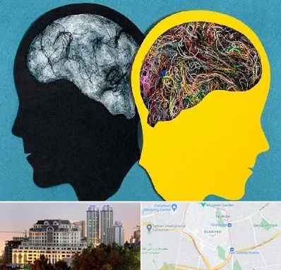 دکتر اختلال دوقطبی در فرشته 