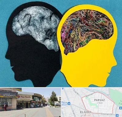 دکتر اختلال دوقطبی در پرواز تبریز 