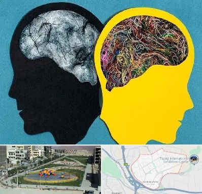 دکتر اختلال دوقطبی در مرزداران تبریز 