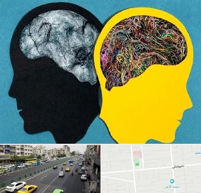 دکتر اختلال دوقطبی در خیابان دامپزشکی