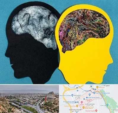 دکتر اختلال دوقطبی در معالی آباد شیراز 