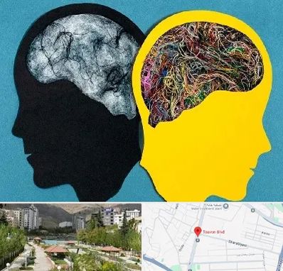 دکتر اختلال دوقطبی در بلوار تعاون