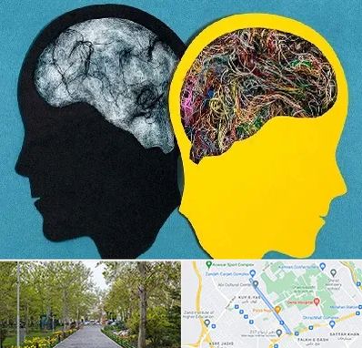 دکتر اختلال دوقطبی در قدوسی غربی شیراز 