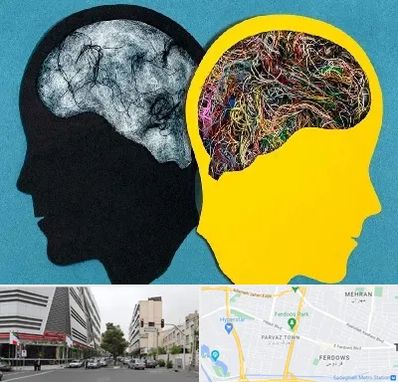 دکتر اختلال دوقطبی در بلوار فردوس 