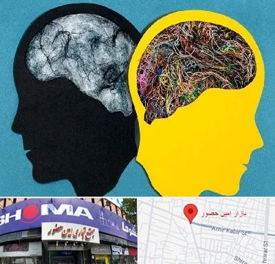 دکتر اختلال دوقطبی در امین حضور