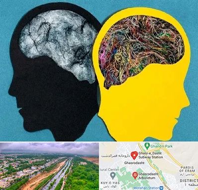 دکتر اختلال دوقطبی در قصرالدشت شیراز 