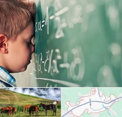 دکتر اختلال یادگیری در تالش