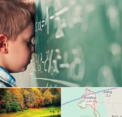 دکتر اختلال یادگیری در کردکوی