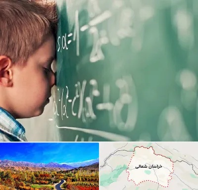 دکتر اختلال یادگیری در خراسان شمالی