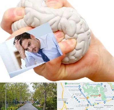 دکتر متخصص استرس و اضطراب در قدوسی غربی شیراز 