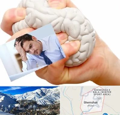 دکتر متخصص استرس و اضطراب در شمشک