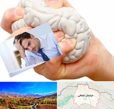 دکتر متخصص استرس و اضطراب در خراسان شمالی