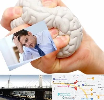 دکتر متخصص استرس و اضطراب در پارک وی 