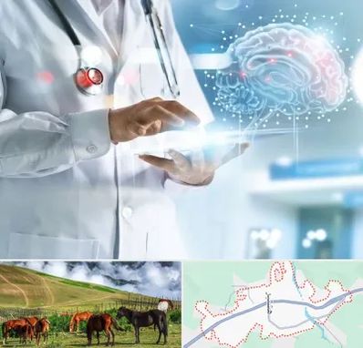 فوق تخصص روانپزشکی در تالش