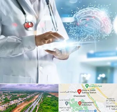 فوق تخصص روانپزشکی در قصرالدشت شیراز 