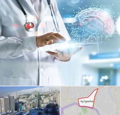 فوق تخصص روانپزشکی در محمودیه