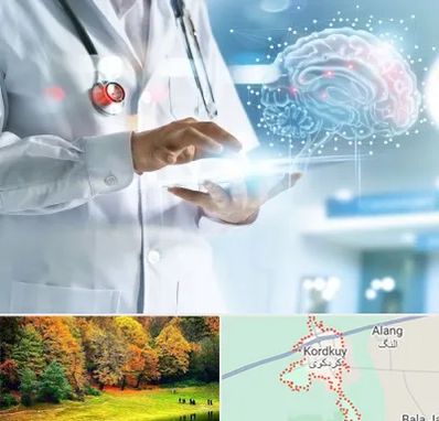 فوق تخصص روانپزشکی در کردکوی