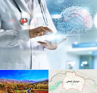 فوق تخصص روانپزشکی در خراسان شمالی