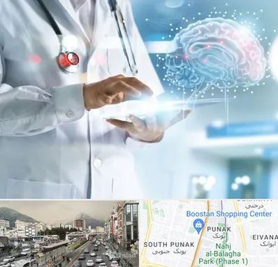 فوق تخصص روانپزشکی در پونک 