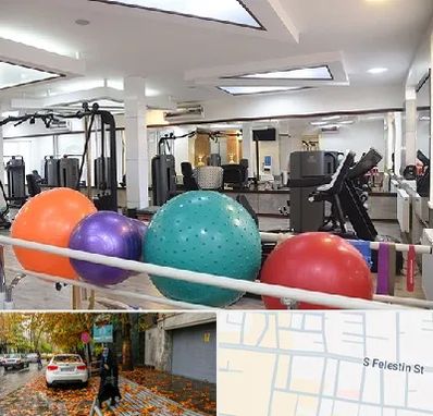 مرکز حرکات اصلاحی در خیابان فلسطین