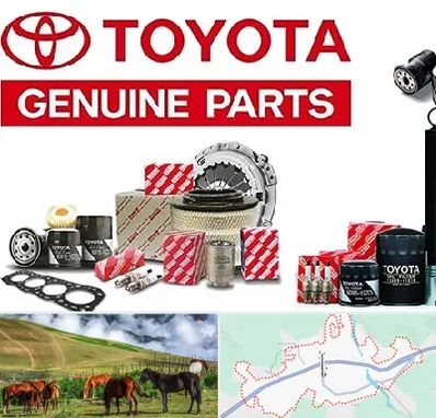 لوازم یدکی تویوتا در تالش