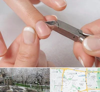 مانیکور روسی در باغ فیض 