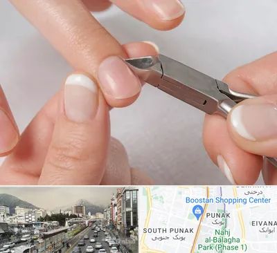 مانیکور روسی در پونک 