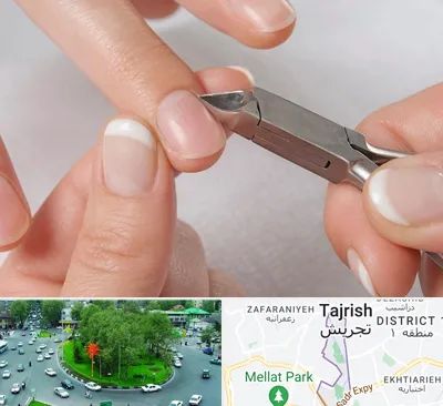 مانیکور روسی در تجریش 