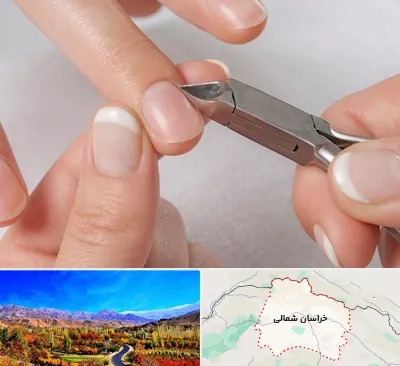 مانیکور روسی در خراسان شمالی