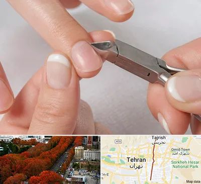 مانیکور روسی در ولیعصر 