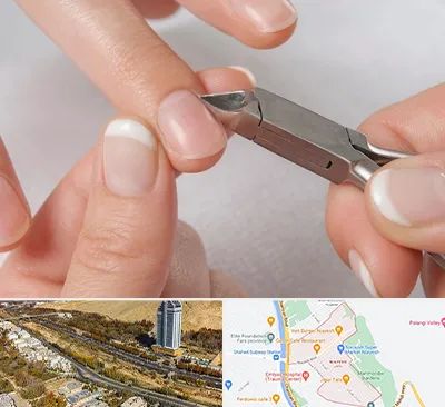 مانیکور روسی در خیابان نیایش شیراز 