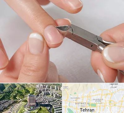 مانیکور روسی در شمال تهران 