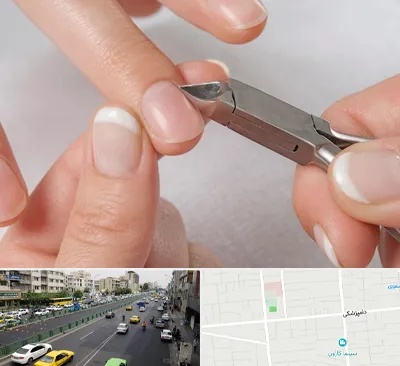 مانیکور روسی در خیابان دامپزشکی