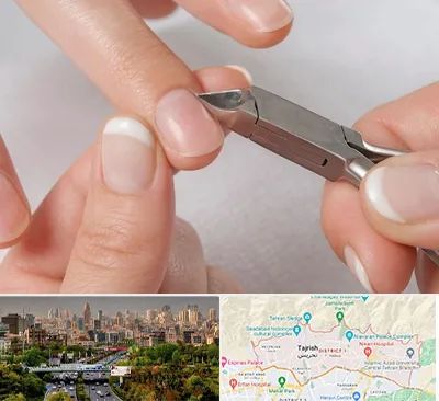 مانیکور روسی در منطقه 1 تهران 