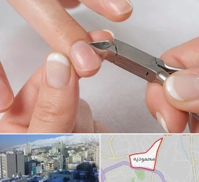 مانیکور روسی در محمودیه