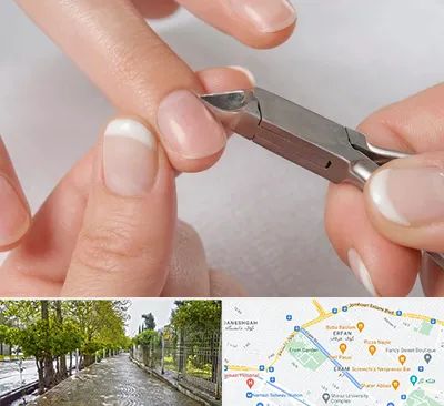 مانیکور روسی در خیابان ارم شیراز 