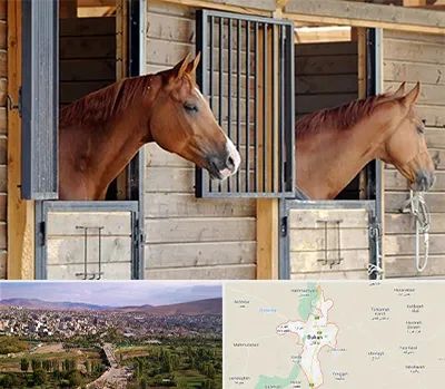 پانسیون اسب در بوکان