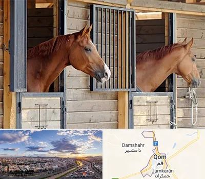 پانسیون اسب در قم