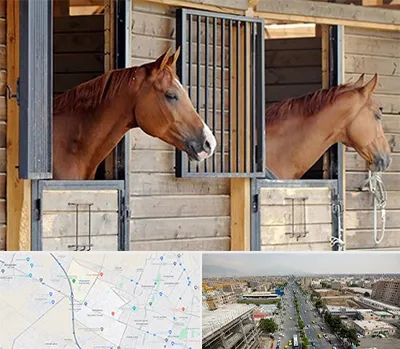 پانسیون اسب در حصارک کرج 