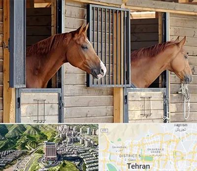 پانسیون اسب در شمال تهران 