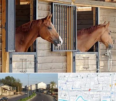 پانسیون اسب در ضیابری رشت 